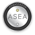 Ambassador Diamond Executives Icon