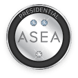 Presidential Diamond Executives Icon